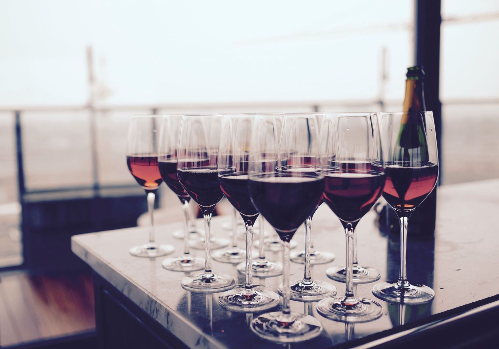 A row of wine glasses at a tasting