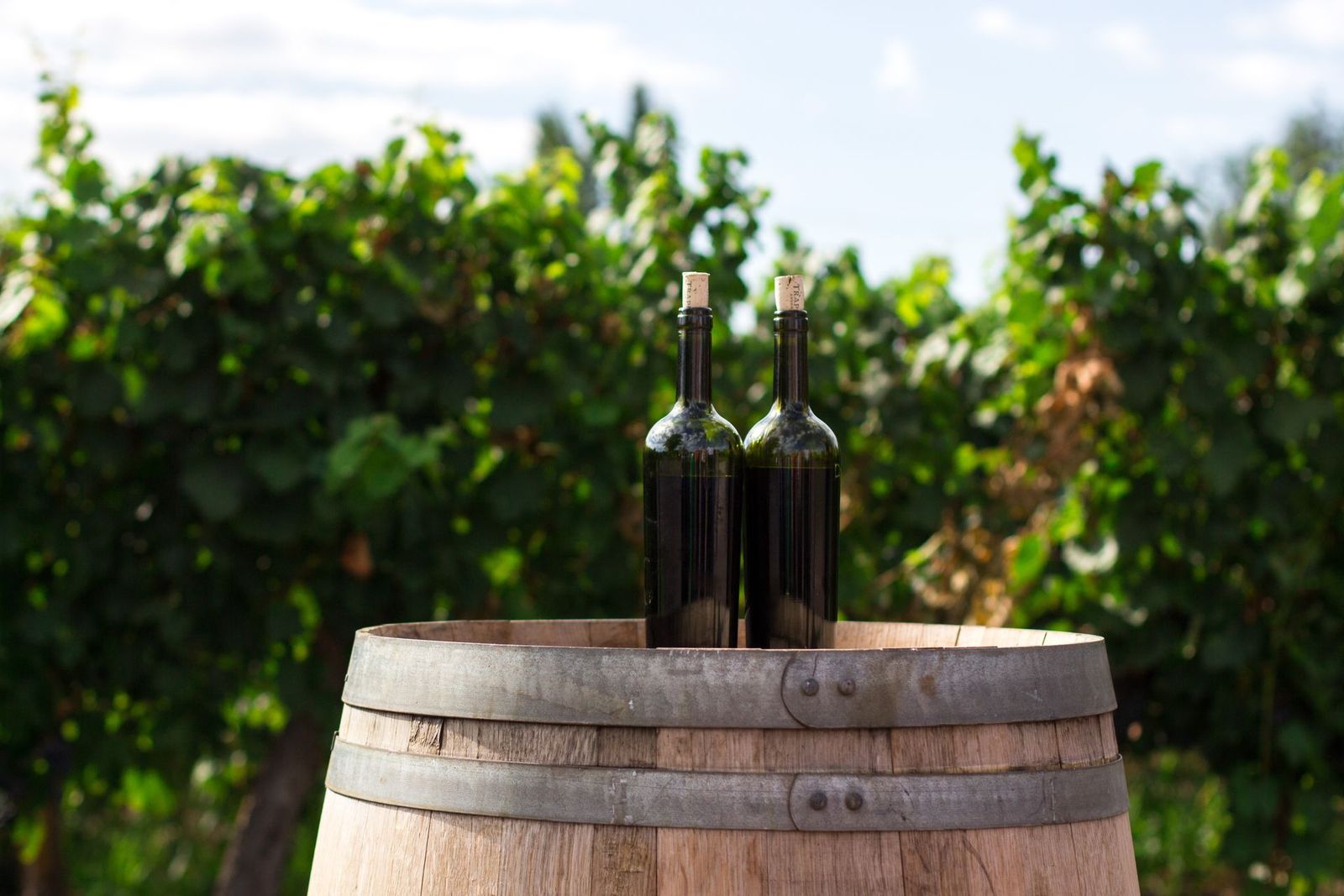 Two bottles on a barrel in the vines